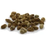 Iboga Seeds