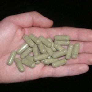 Mescaline Capsules